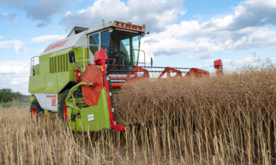 romania,-statul-ue-cu-cei-mai-multi-lucratori-in-agricultura